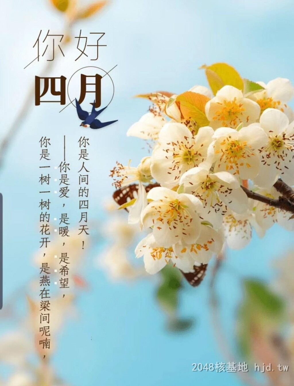 欲望是生命力的体现!其实吧，也不能说啥也没穿不是？[26P]第1页 作者:Publisher 帖子ID:253209 TAG:自拍图片,網友自拍,2048核基地