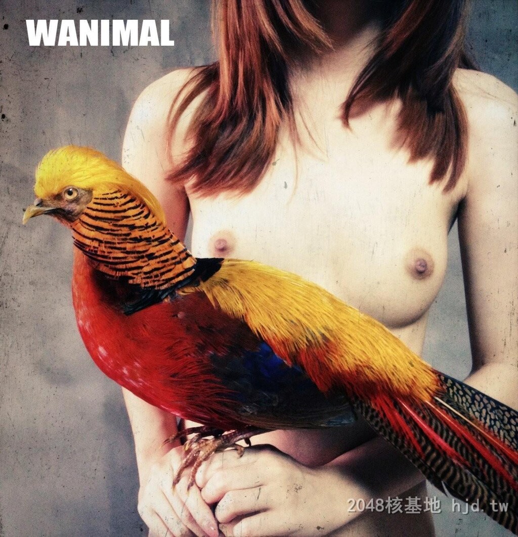 王动WANIMAL作品72[10p]第1页 作者:Publisher 帖子ID:273379 TAG:自拍图片,網友自拍,2048核基地