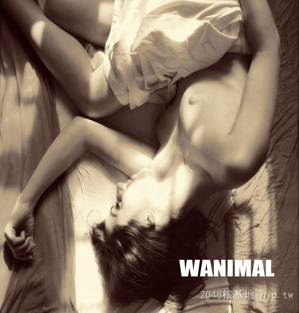 王动WANIMAL作品140[10p]第1页 作者:Publisher 帖子ID:283577 TAG:自拍图片,網友自拍,2048核基地