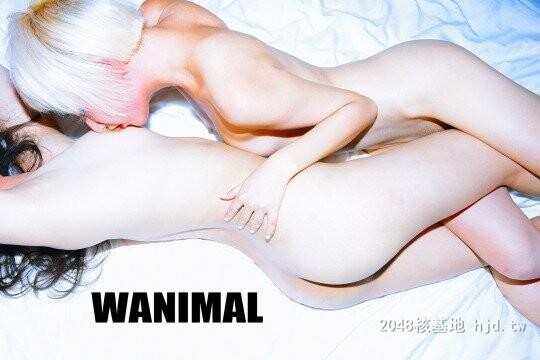 王动WANIMAL作品289[20p]第0页 作者:Publisher 帖子ID:280488 TAG:日本图片,亞洲激情,2048核基地