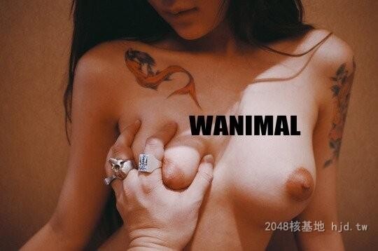 王动WANIMAL作品347[20p]第1页 作者:Publisher 帖子ID:284853 TAG:日本图片,亞洲激情,2048核基地