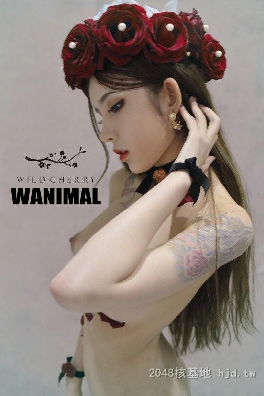 王动WANIMAL作品346[20p]第1页 作者:Publisher 帖子ID:284852 TAG:日本图片,亞洲激情,2048核基地