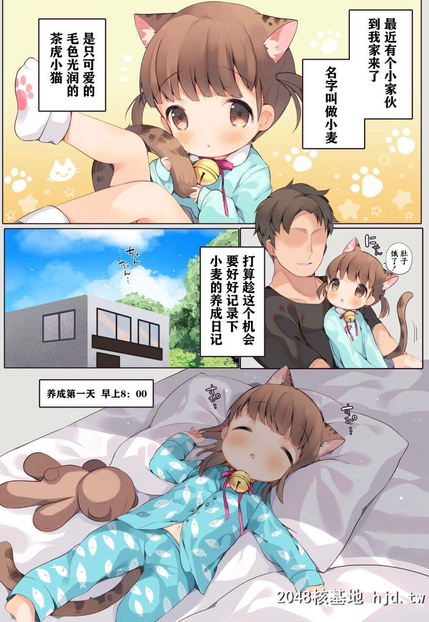 [SUNCHILD[緑叶みんと]]にゃんこいくせいにっきその1第1页 作者:Publisher 帖子ID:278527 TAG:动漫图片,卡通漫畫,2048核基地